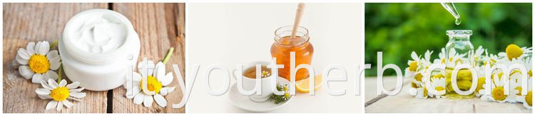 chamomile extract powder